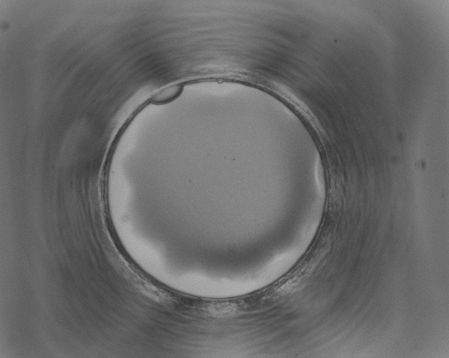 X0000067901291200605041608