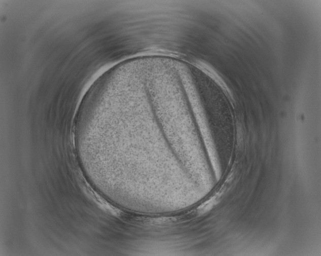 X0000067901292200605041608