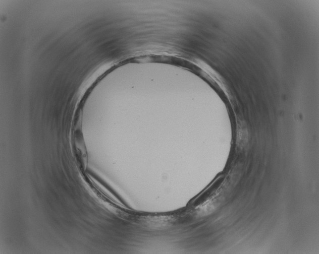 X0000067901293200605041608