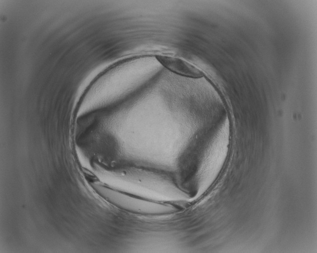 X0000067901296200605041608