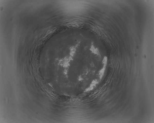 X0000067901297200605041607