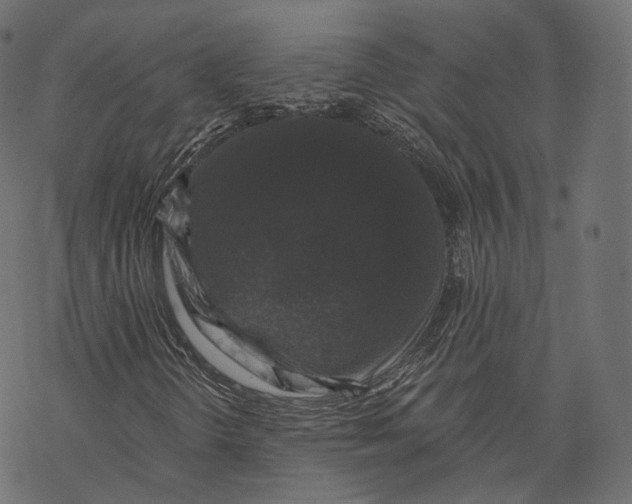 X0000067901298200605041607