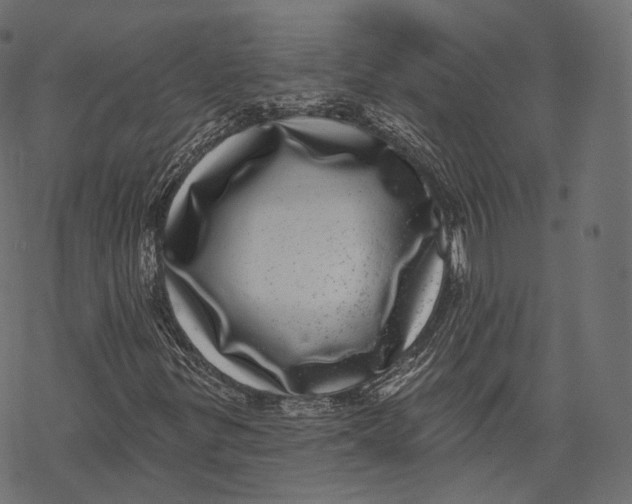 X0000067901299200605041607