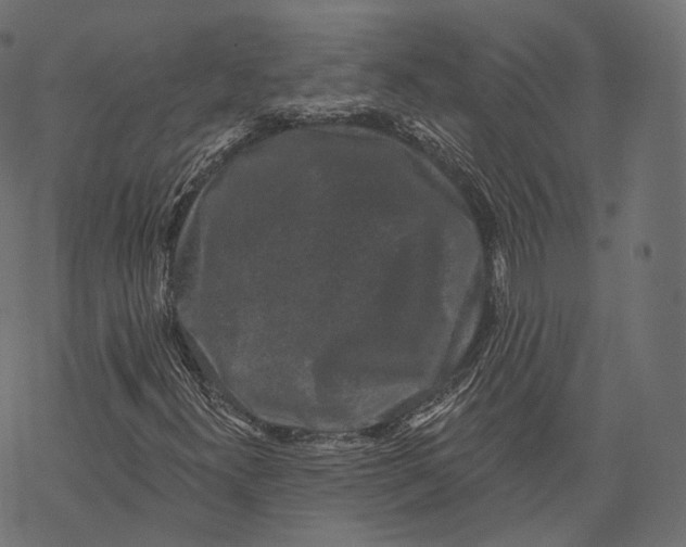 X0000067901300200605041607