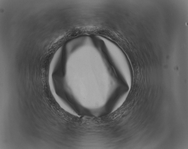 X0000067901301200605041607