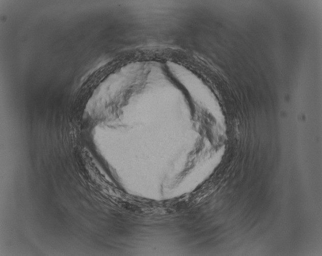 X0000067901302200605041607