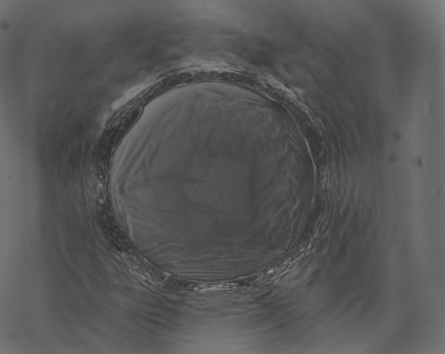 X0000067901303200605041607