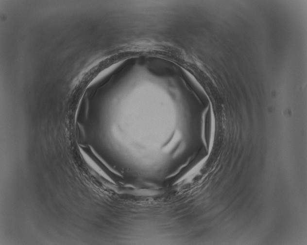 X0000067901304200605041607