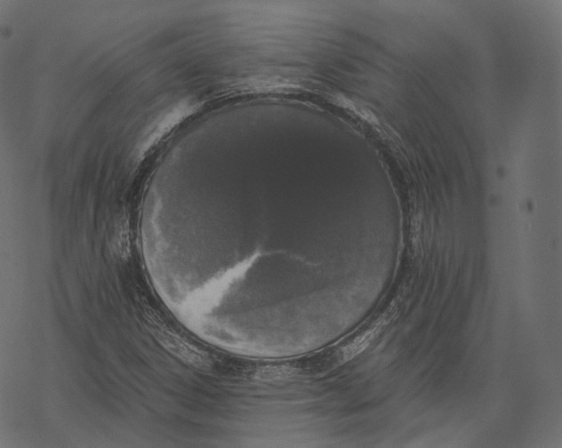 X0000067901306200605041607