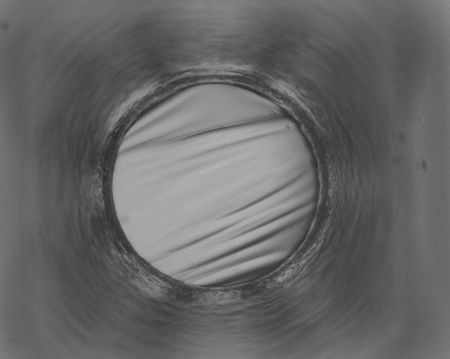 X0000067901307200605041607