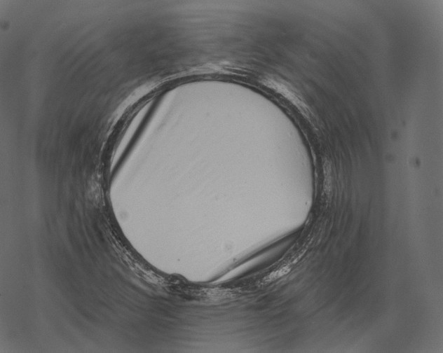 X0000067901308200605041607