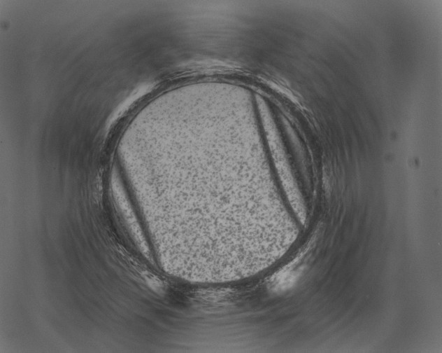 X0000067901309200605041607