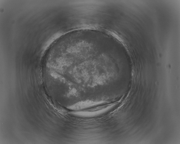 X0000067901310200605041608