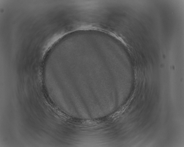 X0000067901311200605041608