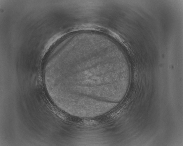 X0000067901312200605041608