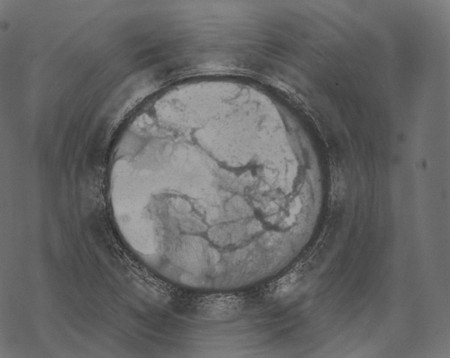 X0000067901314200605041608