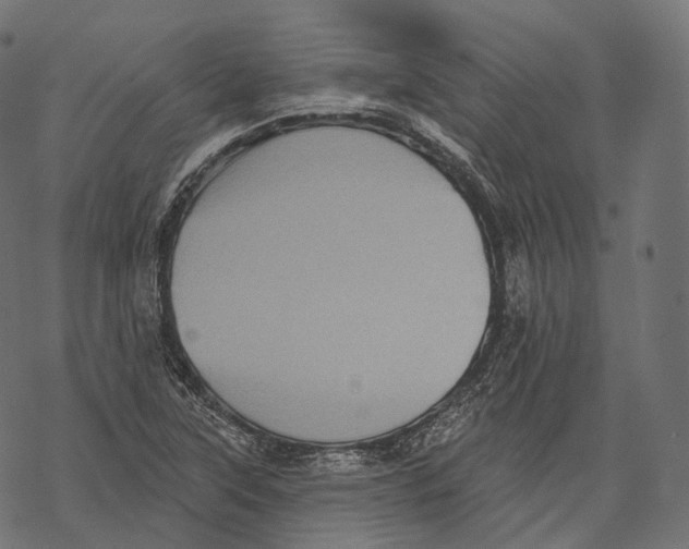 X0000067901315200605041608