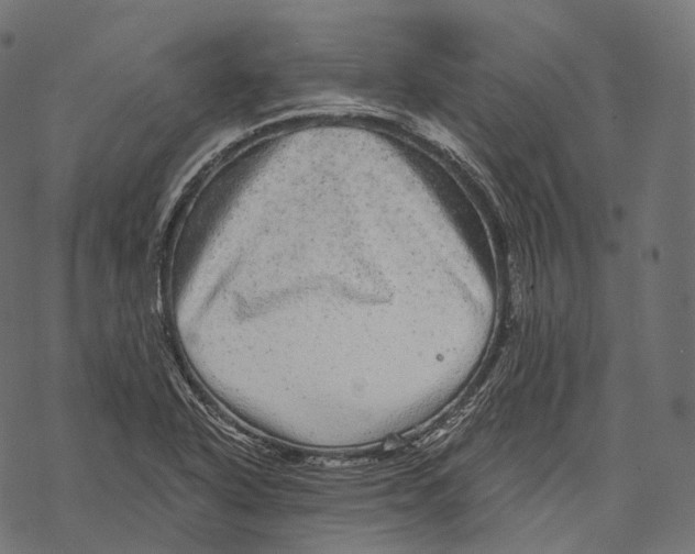 X0000067901318200605041608