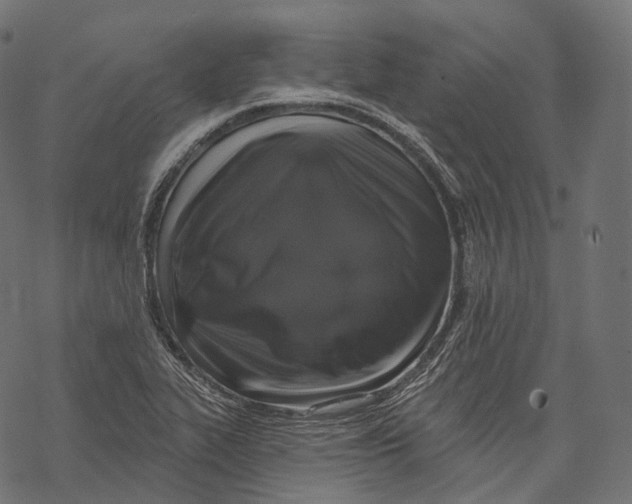 X0000067901319200605041608