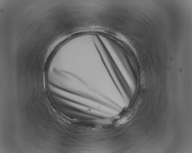 X0000067901320200605041608