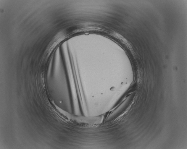 X0000067901321200605041608