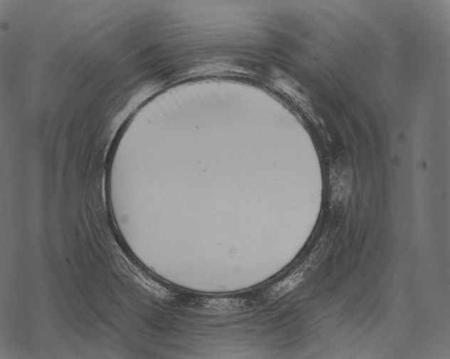 X0000067901322200605041608