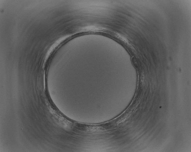 X0000067901323200605041608