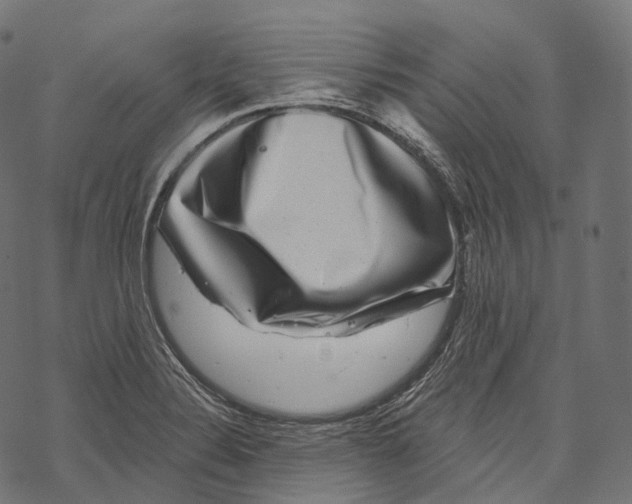 X0000067901324200605041608