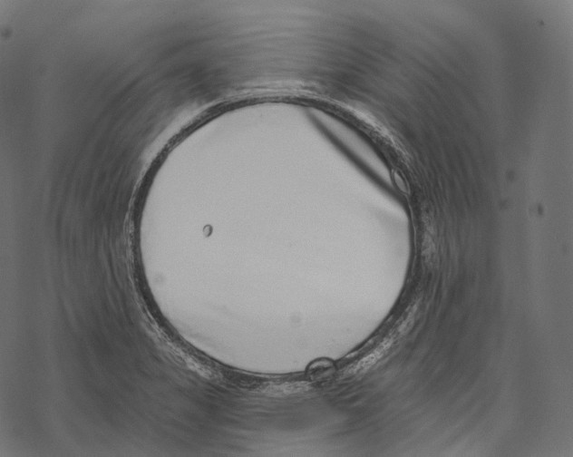 X0000067901325200605041608