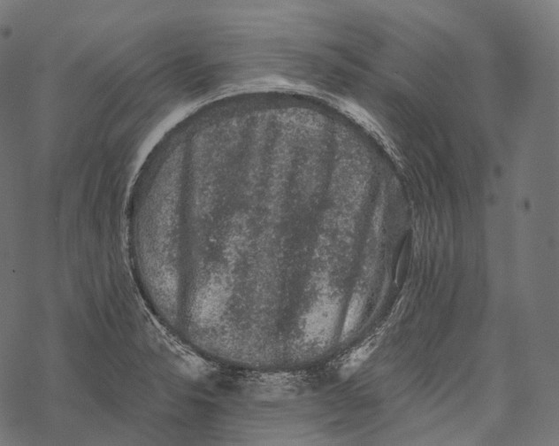 X0000067901326200605041608