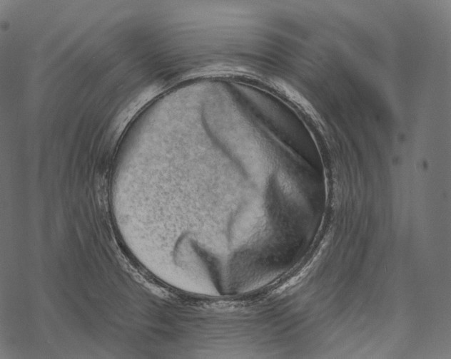 X0000067901329200605041608