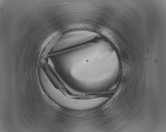 X0000067901330200605041608