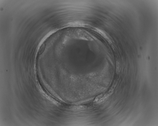 X0000067901331200605041608