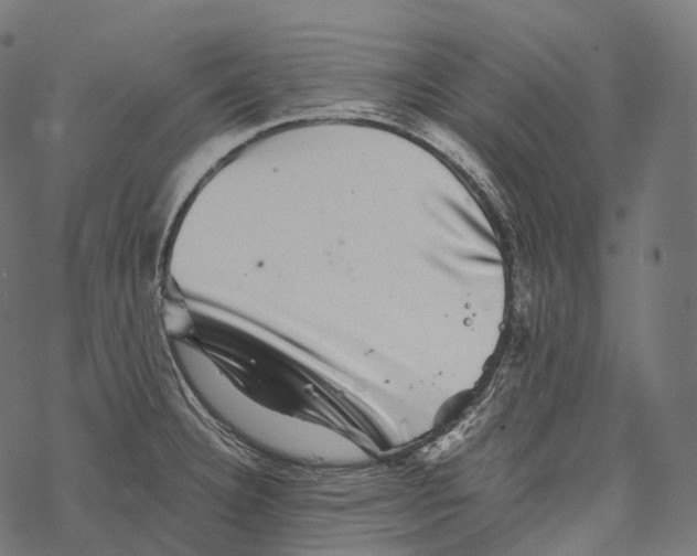 X0000067901332200605041608