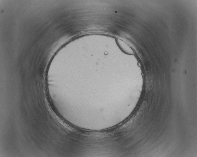 X0000067901333200605041608