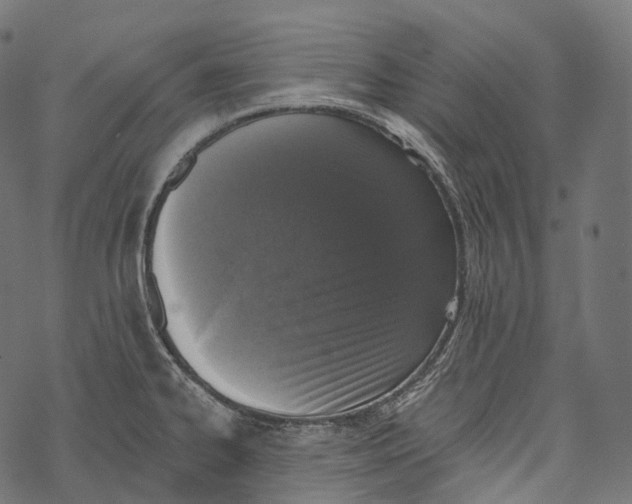 X0000067901334200605041608