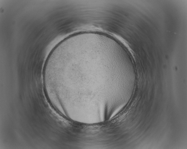 X0000067901335200605041608