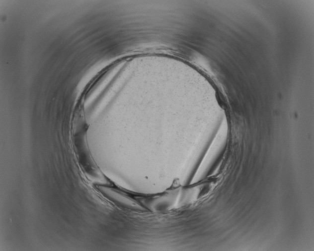 X0000067901336200605041608