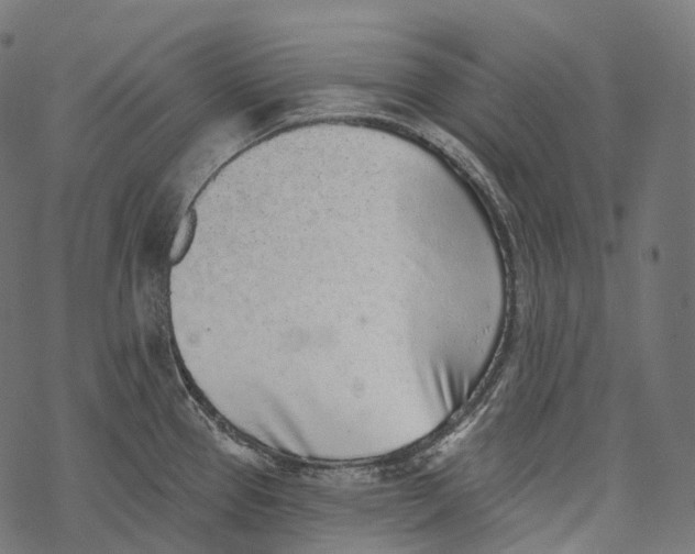 X0000067901337200605041608