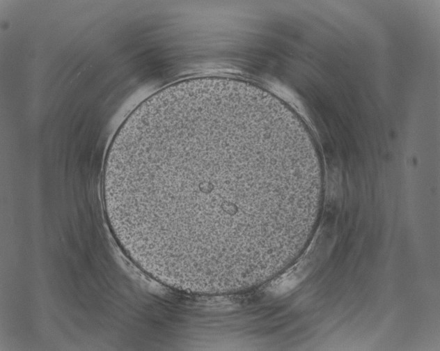 X0000067901338200605041608