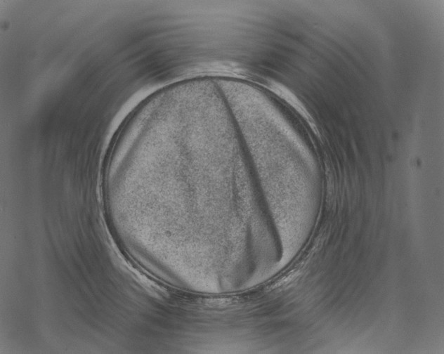 X0000067901339200605041608