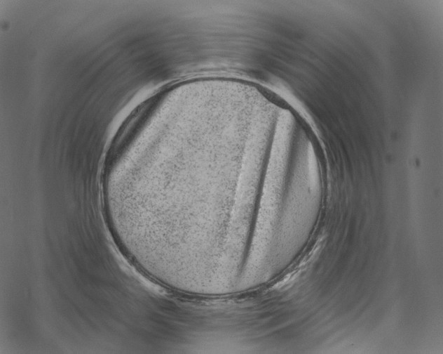 X0000067901341200605041608