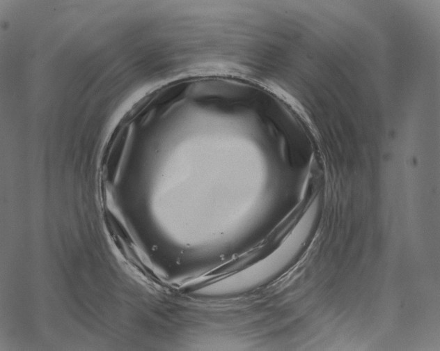 X0000067901342200605041608