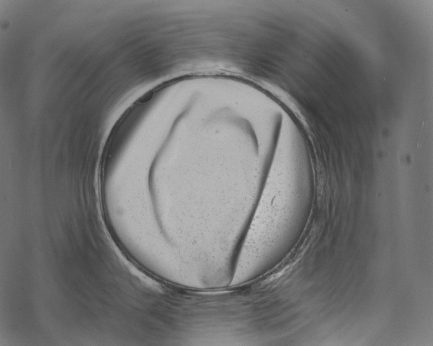 X0000067901343200605041608