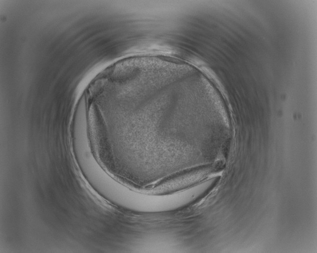 X0000067901344200605041608