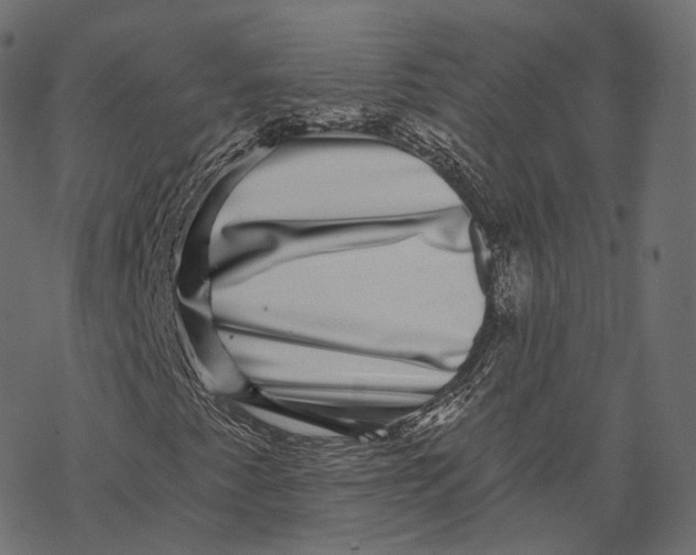 X0000067901345200605041607