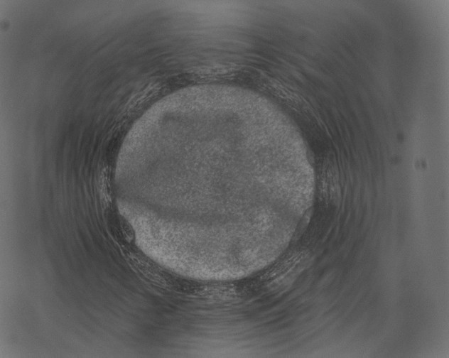 X0000067901346200605041607