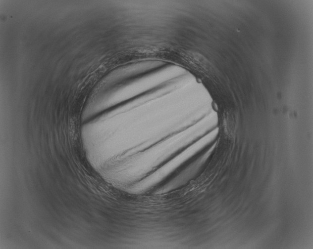 X0000067901347200605041607