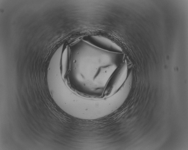 X0000067901348200605041607