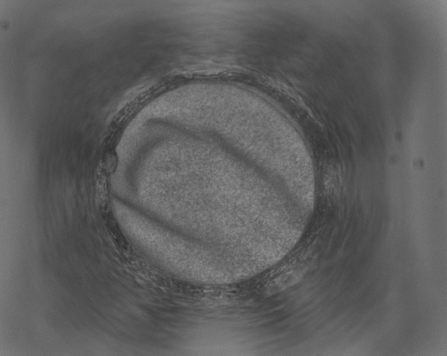 X0000067901350200605041607